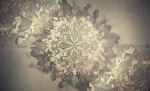 Tema Flores